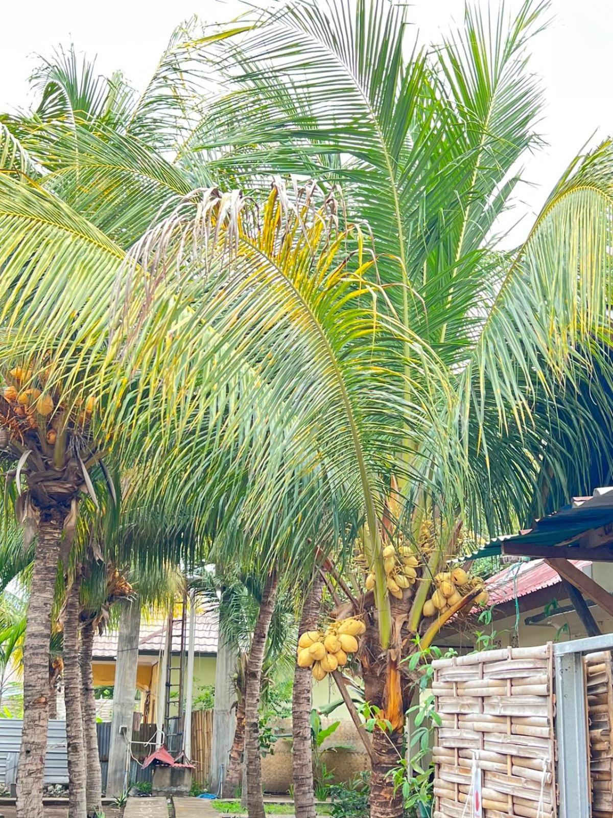 Bias Bungalows Gili Air Bagian luar foto