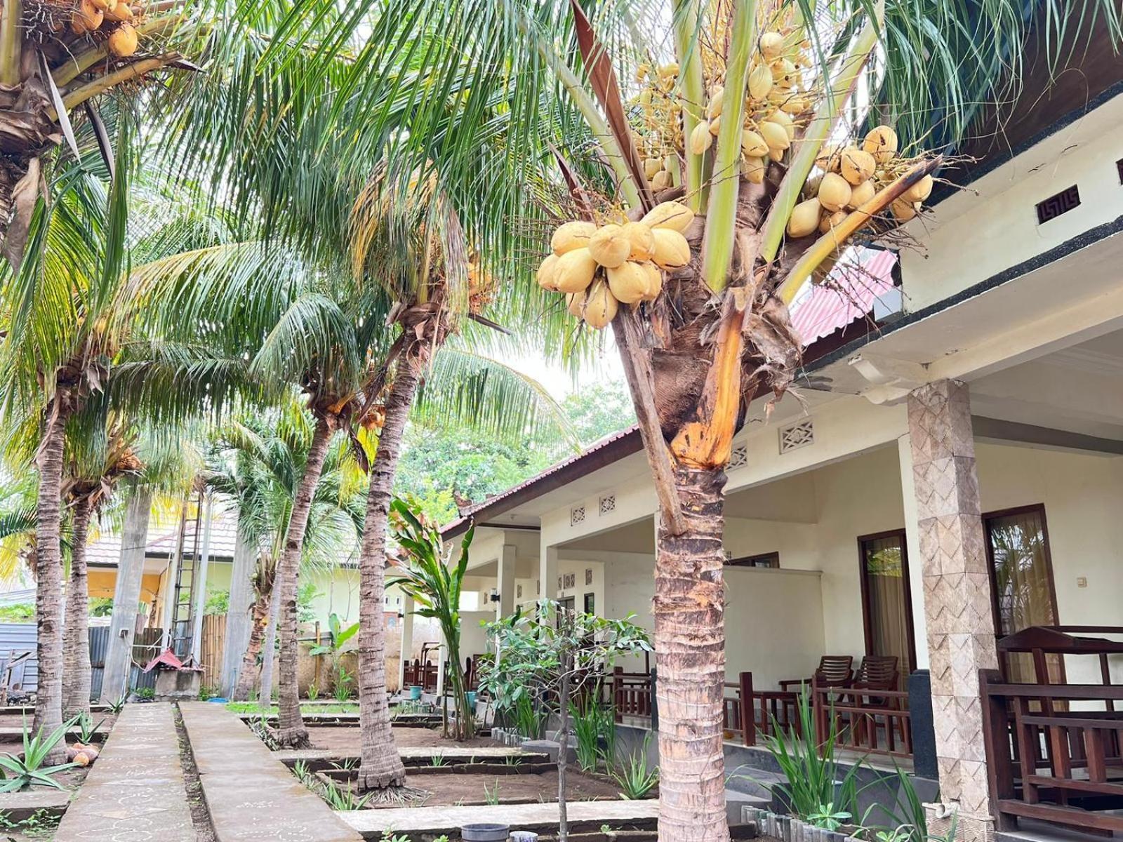 Bias Bungalows Gili Air Bagian luar foto